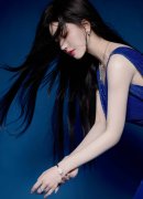 涉及俄罗斯以及中国等其他国度的300多家公司、